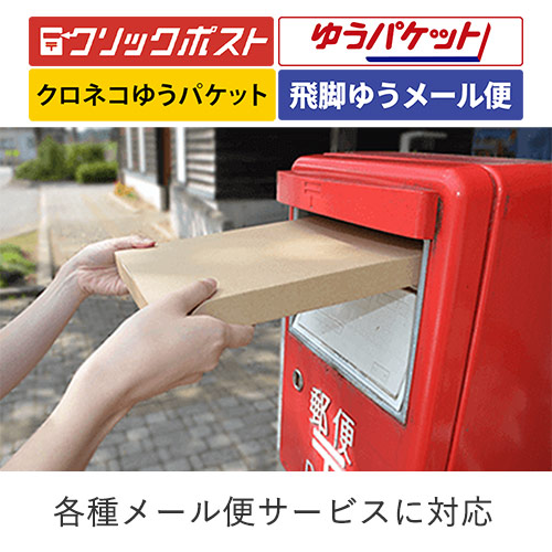 【クロネコゆうパケット・クリックポスト】厚さ2.5cm・N式ケース（A4サイズ）