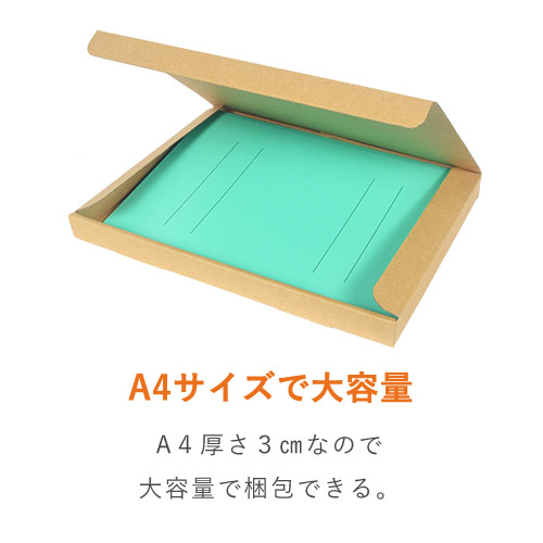 【クロネコゆうパケット・クリックポスト・ゆうパケット】厚さ3cm・N式ケース（A4サイズ）
