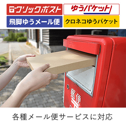 【クロネコゆうパケット・クリックポスト・ゆうパケット】厚さ3cm・N式ケース（A4サイズ）