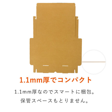 【クロネコゆうパケット・クリックポスト・ゆうパケット】厚さ3cm・N式ケース（A4サイズ）