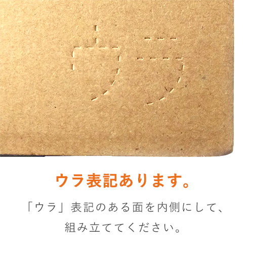 【クロネコゆうパケット・クリックポスト・ゆうパケット】厚さ3cm・N式ケース（A5サイズ）