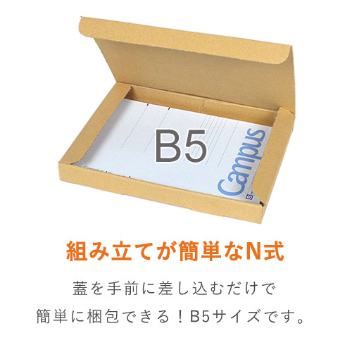 【ネコポス・クリックポスト・ゆうパケット】厚さ3cm・N式ケース（B5サイズ）