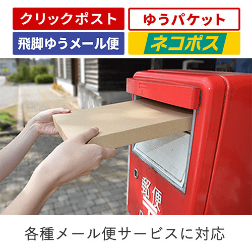 【ネコポス・クリックポスト・ゆうパケット】厚さ3cm・N式ケース（B5サイズ）