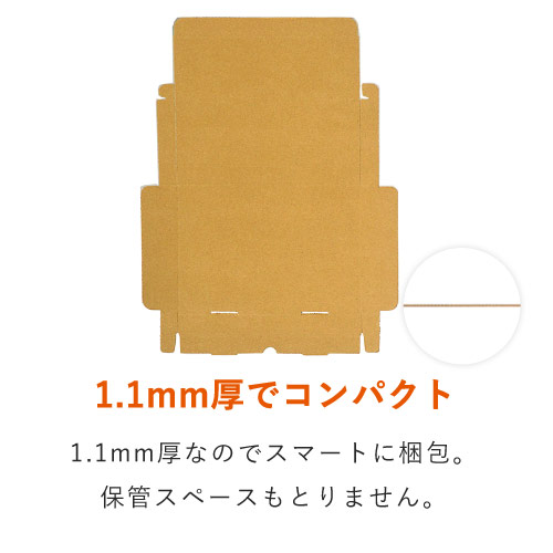 【ネコポス・クリックポスト・ゆうパケット】厚さ3cm・N式ケース（B5サイズ）