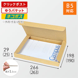 【ネコポス・クリックポスト・ゆうパケット】厚さ3cm・N式ケース（B5サイズ）