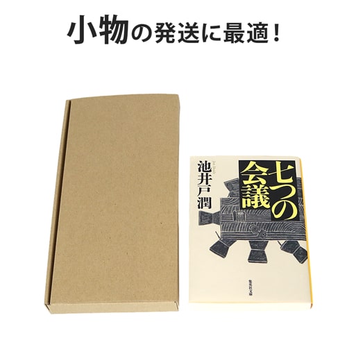 【ネコポス最小・定形外郵便】厚さ2.5cm・N式ケース