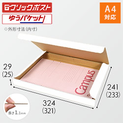 【クロネコゆうパケット・クリックポスト・ゆうパケット】厚さ3cm・N式ケース（白・A4サイズ）