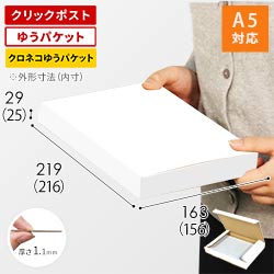 【クロネコゆうパケット・クリックポスト・ゆうパケット】厚さ3cm・N式ケース（白・A5サイズ）