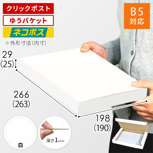 【クロネコゆうパケット・クリックポスト・ゆうパケット】厚さ3cm・N式ケース（白・B5サイズ）
