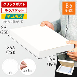 【ネコポス・クリックポスト・ゆうパケット】厚さ3cm・N式ケース（白・B5サイズ）