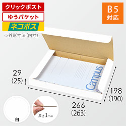 【ネコポス・クリックポスト・ゆうパケット】厚さ3cm・N式ケース（白・B5サイズ）