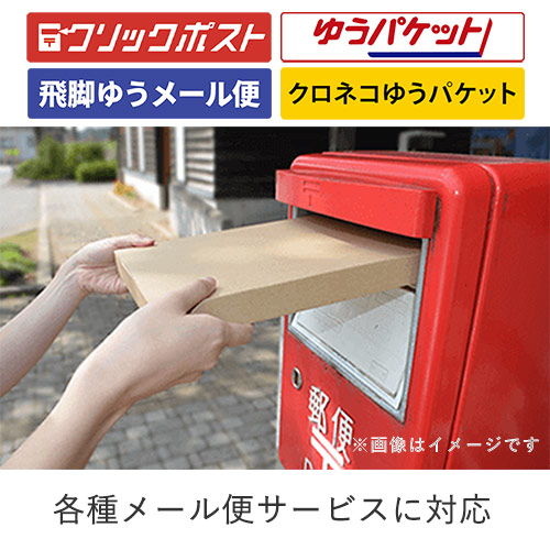 【クリックポスト・ゆうパケット最小】厚さ3cm・N式ケース