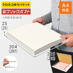 【クロネコゆうパケット・クリックポスト】厚さ2.5cm・N式ケース（白・A4サイズ）