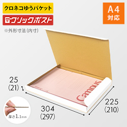 【クロネコゆうパケット・クリックポスト】厚さ2.5cm・N式ケース（白・A4サイズ）