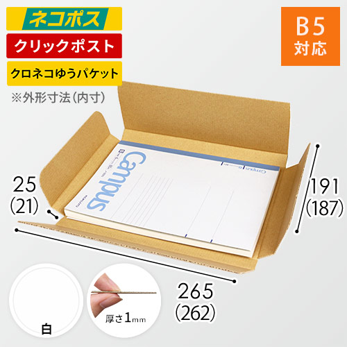 【ネコポス・クリックポスト】厚さ2.5cm・ヤッコ型ケース（白・B5サイズ）