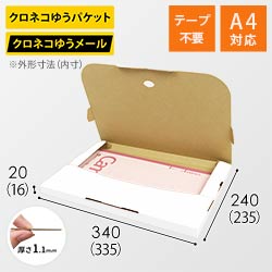 【クロネコゆうメール・ゆうパケット】厚さ2cm・テープレスケース（白・A4サイズ）