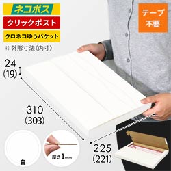 【クロネコゆうパケット・クリックポスト】厚さ2.5cm・テープレスケース（白・A4サイズ）
