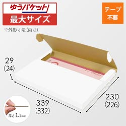 【クリックポスト・ゆうパケット最大】厚さ3cm・テープレスケース（白・A4サイズ）