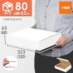 フリーBOX（白、底面A4・深さ6cm）