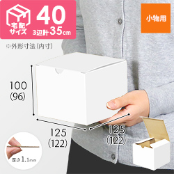 小物用ケース（白、深さ9.6cm）