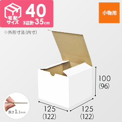 小物用ケース（白、深さ9.6cm）