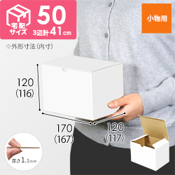 小物用ケース（白、深さ11.6cm）