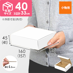 小物用ケース（白、深さ4.1cm）