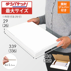 【クリックポスト・ゆうパケット最大】厚さ3cm・ジッパー付きケース（白・A4サイズ）
