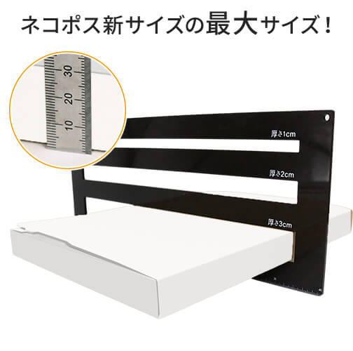 【ネコポス・クリックポスト】厚さ3cm・ジッパー付きケース（白・A4サイズ）