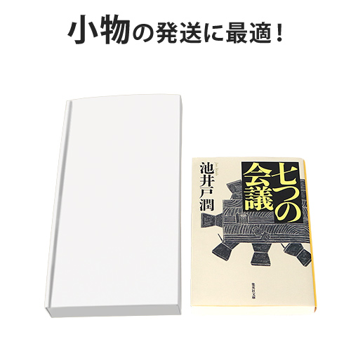 【ネコポス最小・定形外郵便】厚さ2.5cm・N式ケース（白）