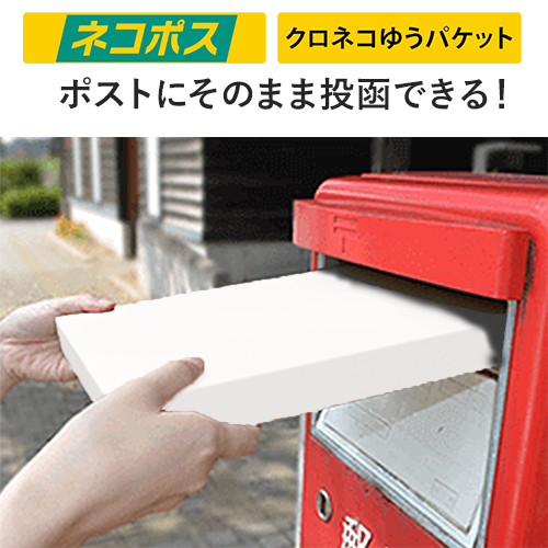 【ネコポス・クリックポスト】厚さ3cm・テープレスケース（白・A4サイズ）