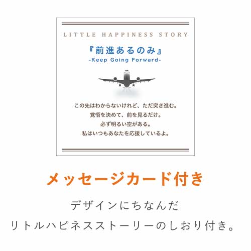 貼り箱（飛行機 FORWARD）