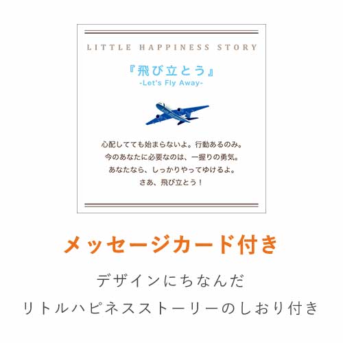 貼り箱（飛行機 FLY AWAY）