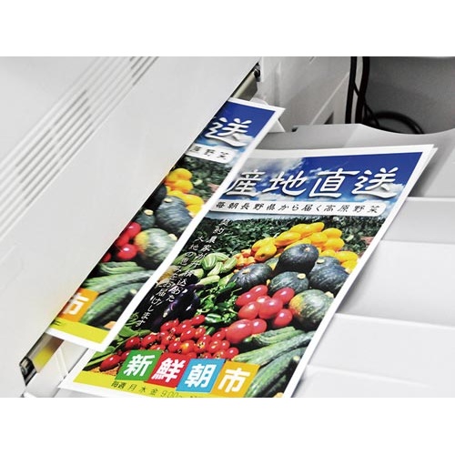ラミフリーＡ３　５０枚入