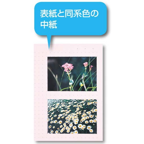 カラーベース固定式　Ａ４縦４０ポケット　緑×１０