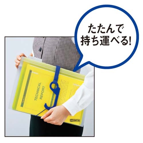 Ａ４ソーテッド　３ポケット　クール　３枚入
