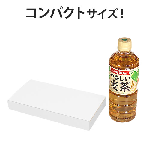 【定形外郵便】厚さ3cm・N式ケース（白）