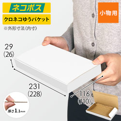 【定形外郵便】厚さ3cm・N式ケース（白）