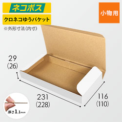 【定形外郵便】厚さ3cm・N式ケース（白）