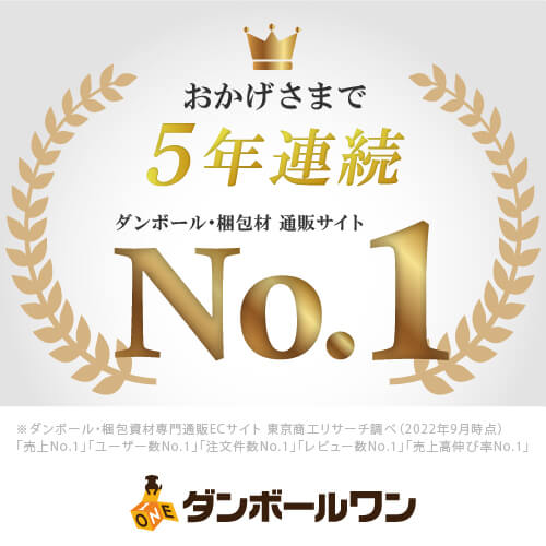 【名入れ印刷】厚さ2.4cm・N式ケース（A4サイズ、ネコポス・クリックポスト）