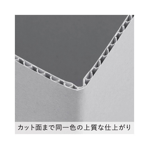 フラクタス　ケースファイルハーフ　２冊入り