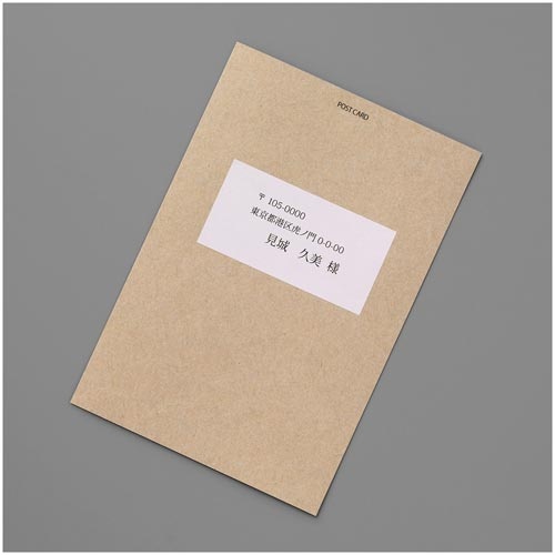 いつものラベルＡ４　２４面　１００枚入