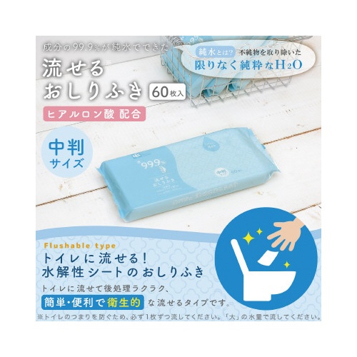 【廃番商品】ＮＣ水９９．９　流せるおしりふき　中判　６０枚