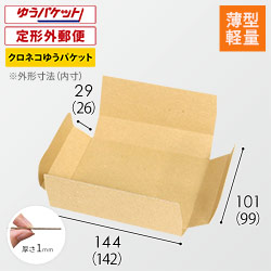 【薄型軽量】厚さ3cm・ヤッコ型ケース（クリックポスト最小）