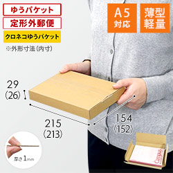 【薄型軽量】厚さ3cm・ヤッコ型ケース（A5サイズ・ゆうパケット・クリックポスト）