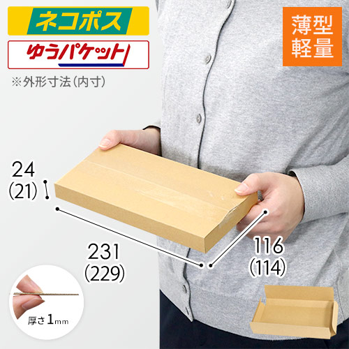 【薄型軽量】厚さ2.5cm・ヤッコ型ケース（ネコポス最小）