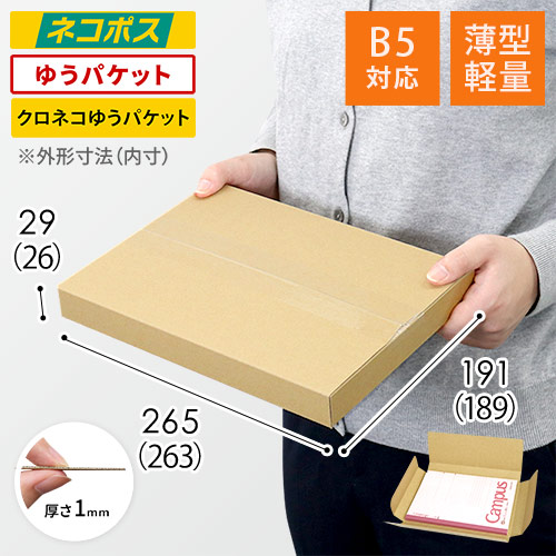 【薄型軽量】厚さ3cm・ヤッコ型ケース（B5サイズ）