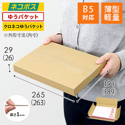 【薄型軽量】厚さ3cm・ヤッコ型ケース（B5サイズ）