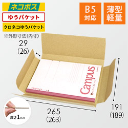 【薄型軽量】厚さ3cm・ヤッコ型ケース（B5サイズ）