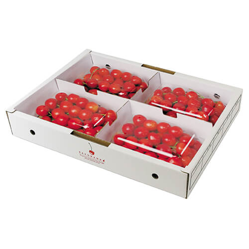 さくらんぼ　２００ｇ×４Ｐ　山形